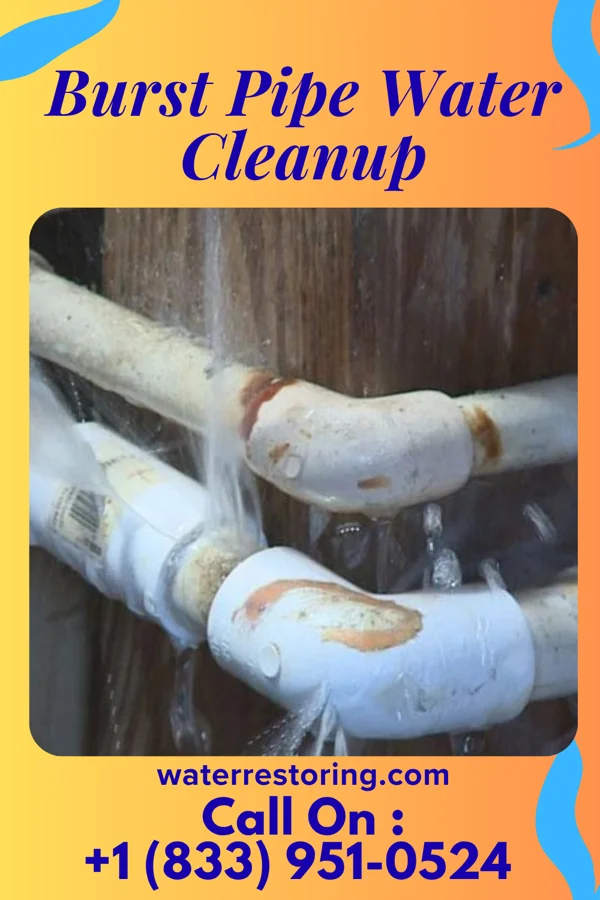 Burst Pipe Water Cleanup in Penn Yan, NY
