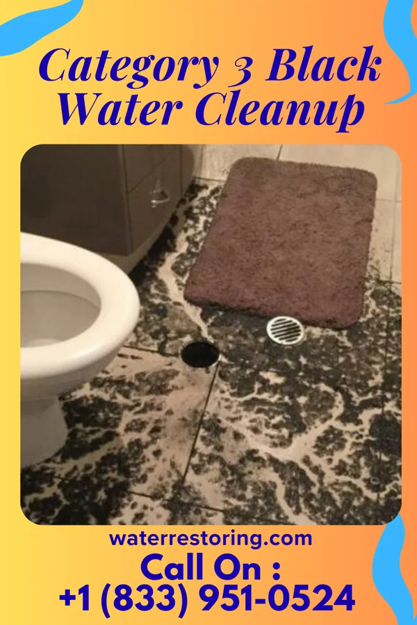 Category 3 Black Water Cleanup in Penn Yan, NY