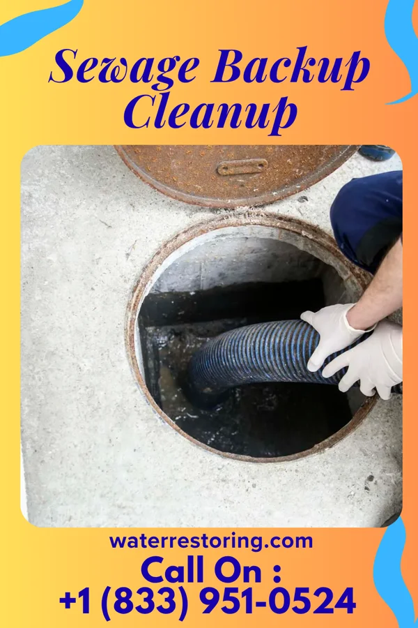 Sewage Backup Cleanup in Penn Yan, NY